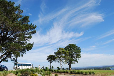 South Coast Scenic Tours - SA Accommodation 6