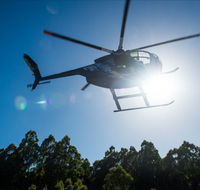 Tall Timbers Adventure Tours - SA Accommodation