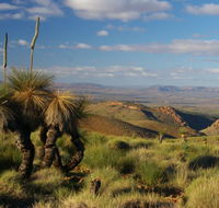 4WD Aussie Outback Adventures - SA Accommodation