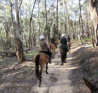 Silver Brumby Trails - SA Accommodation