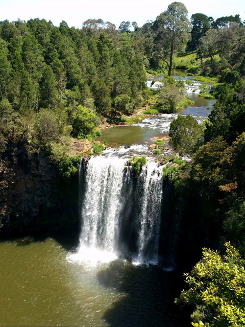 A1 Coffs Coast Tours - SA Accommodation 4