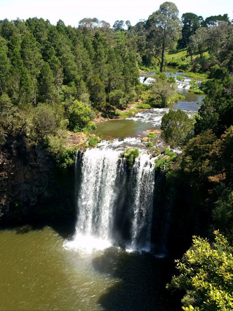 A1 Coffs Coast Tours - SA Accommodation 6