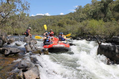 Rafting Australia - SA Accommodation 2