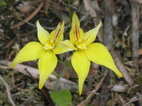 Out Of Sight Tours - SA Accommodation 31