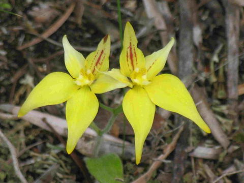 Out Of Sight Tours - SA Accommodation 33