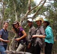 Echidna Walkabout Nature Tours - SA Accommodation