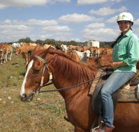 Myella Farm Stay Tours - SA Accommodation