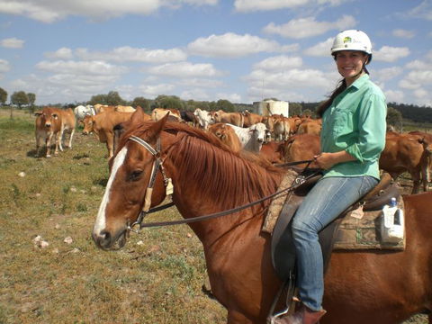 Myella Farm Stay Tours - SA Accommodation 0