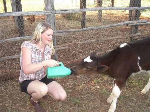 Myella Farm Stay Tours - SA Accommodation 1