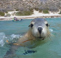 Calypso Star Charters - SA Accommodation
