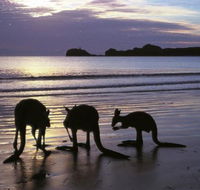 Beachcomber Cove Track - SA Accommodation