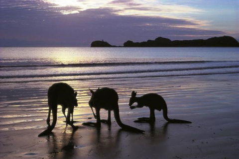 Beachcomber Cove Track - SA Accommodation 0