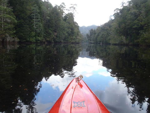 King River Rafting - SA Accommodation 1