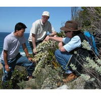 Sapphire Coast Ecotours - SA Accommodation
