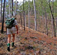 Shepherd's Peak Trail - SA Accommodation