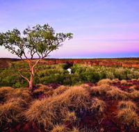 Island Stack Boodjamulla Lawn Hill National Park - SA Accommodation