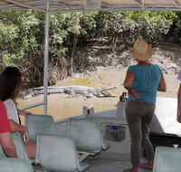 Whitsunday Crocodile Safari - SA Accommodation