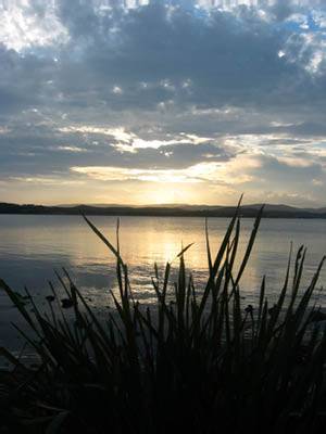 The Next Grind - SA Accommodation 1