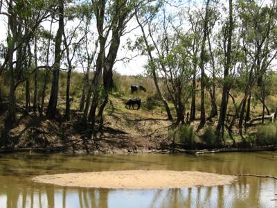 The Next Grind - SA Accommodation 3