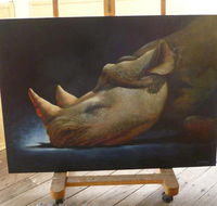 Art on Pallas - SA Accommodation