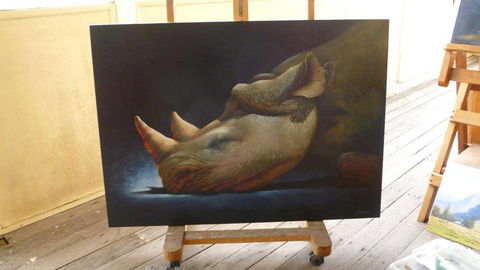 Art On Pallas - SA Accommodation 0
