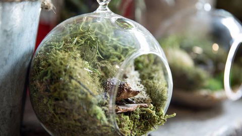 Moxom And Whitney - SA Accommodation 0