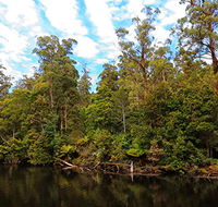 A R Reflections River Cruises - SA Accommodation