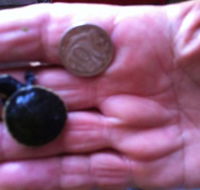 Hurleys Aquariums - SA Accommodation