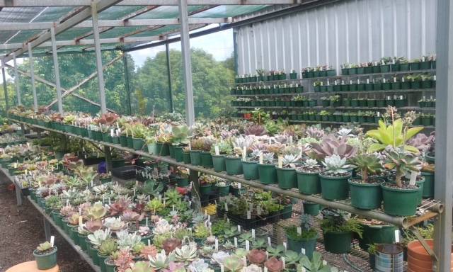 Wollongbar NSW SA Accommodation