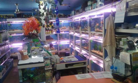 Summerland Aquarium - SA Accommodation 3