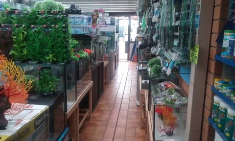 Summerland Aquarium - SA Accommodation 4