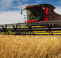 Quirindi Grain and produce - SA Accommodation