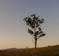 Faulls Ridge Winery - SA Accommodation