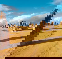 Pinnacles Desert Koalas and Sandboarding 4WD Day Tour from Perth - SA Accommodation