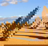 Pinnacles and Yanchep National Park Day Trip from Perth Including Lobster Shack Lunch and Sandboarding - SA Accommodation