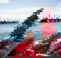 Rottnest Island Tour from Perth or Fremantle including Adventure Speed Boat Ride - SA Accommodation