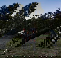 Stargazing Busselton with Mobile Observatory - SA Accommodation