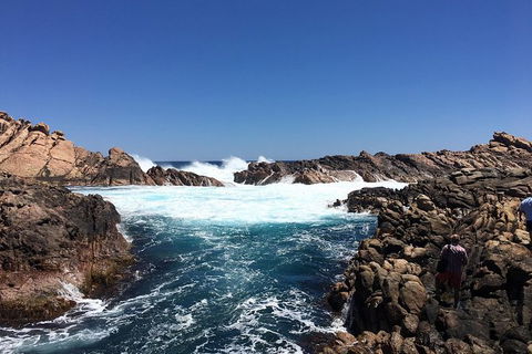 Private Margaret River And Busselton Day Trip From Perth - SA Accommodation 1