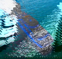 Rottnest Island Roundtrip Ferry from Perth with Transfer - SA Accommodation