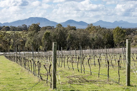 Mt Barker Grape Escape - SA Accommodation 1