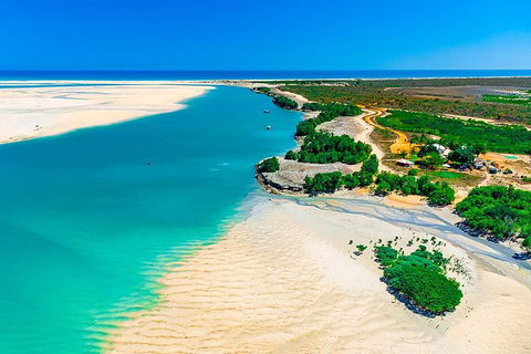 Willie Creek Pearl Farm Tour From Broome - SA Accommodation 0
