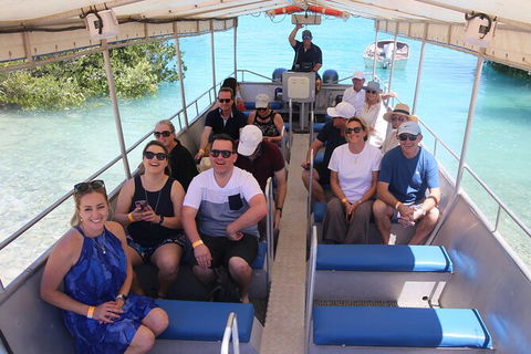 Willie Creek Pearl Farm Tour From Broome - SA Accommodation 3