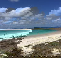 Abrolhos Island Half Day Fly and Flipper - SA Accommodation
