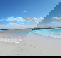 Shipwreck Special Nature Tour/Half Day Tour - SA Accommodation
