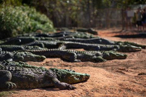 3 In 1 Tour: Matsoâ€™s Brewery, 12 Mile Bird Park & Malcolm Douglas Crocodile Park - SA Accommodation 6