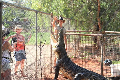 3 In 1 Tour: Matsoâ€™s Brewery, 12 Mile Bird Park & Malcolm Douglas Crocodile Park - SA Accommodation 15