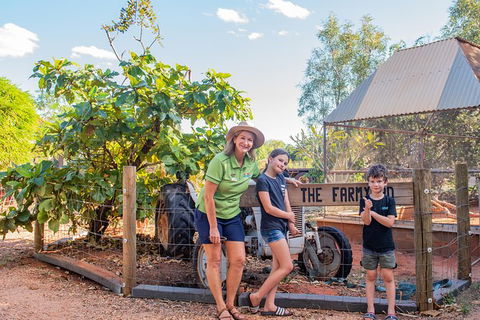 3 In 1 Tour: Matsoâ€™s Brewery, 12 Mile Bird Park & Malcolm Douglas Crocodile Park - SA Accommodation 10