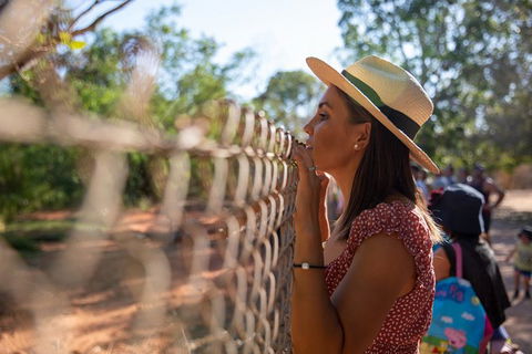 3 In 1 Tour: Matsoâ€™s Brewery, 12 Mile Bird Park & Malcolm Douglas Crocodile Park - SA Accommodation 12