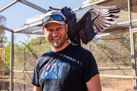 3 In 1 Tour: Matsoâ€™s Brewery, 12 Mile Bird Park & Malcolm Douglas Crocodile Park - SA Accommodation 13