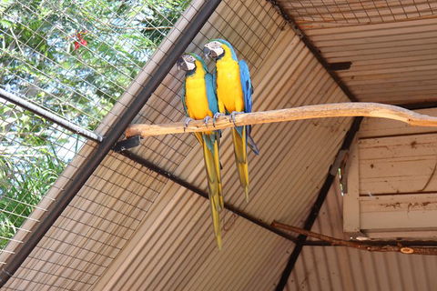 3 In 1 Tour: Matsoâ€™s Brewery, 12 Mile Bird Park & Malcolm Douglas Crocodile Park - SA Accommodation 11